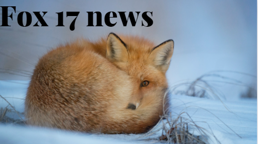 Fox 17 news